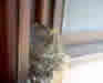 0021.JPG (68002 bytes)