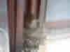 0026.JPG (61590 bytes)