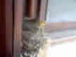 0032.JPG (59766 bytes)
