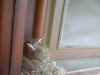 0061.JPG (38587 bytes)