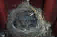 0064.JPG (70538 bytes)